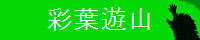 �ʋG����